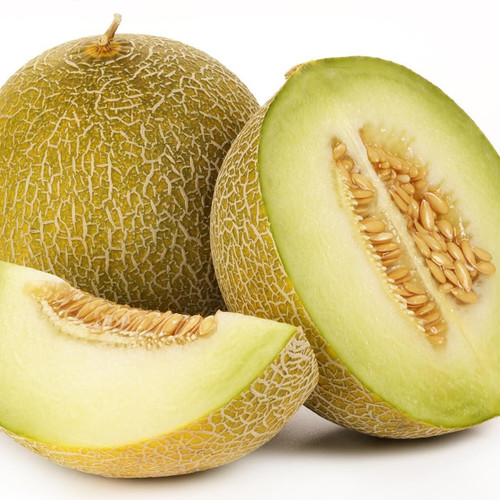 Peacock Galia Melon