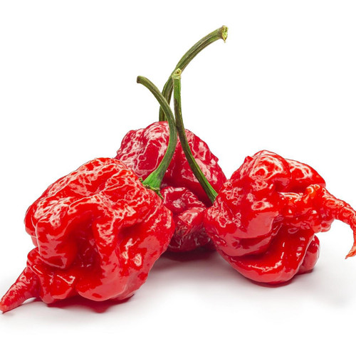 Carolina Reaper Pepper