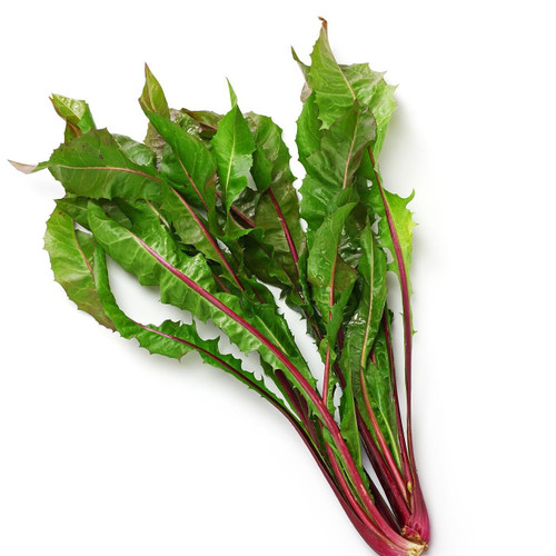 Organic Red Dandelion Bunch