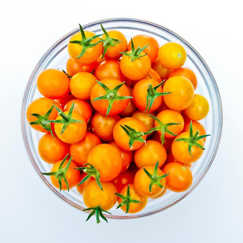 Organic Sungold Cherry Tomato