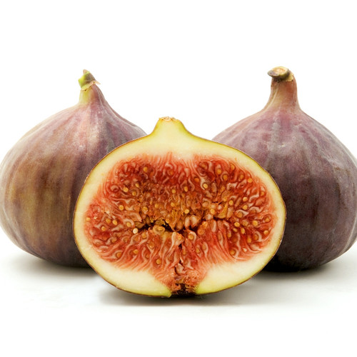 Brown Turkey Fig