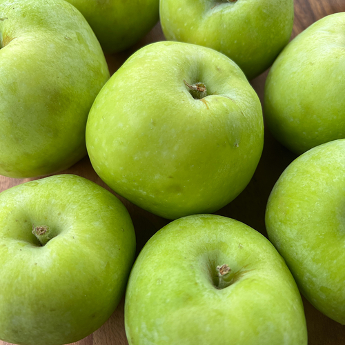Gravenstein Apple