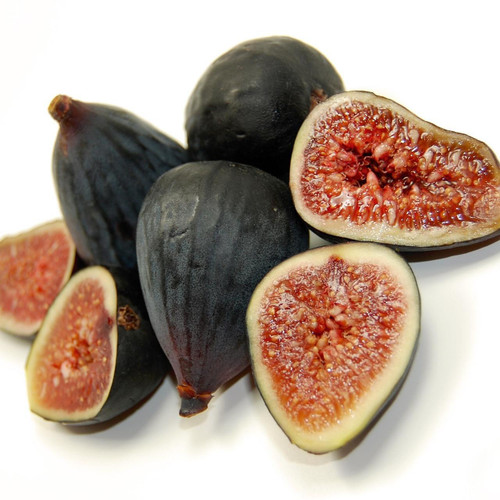 Black Mission Fig