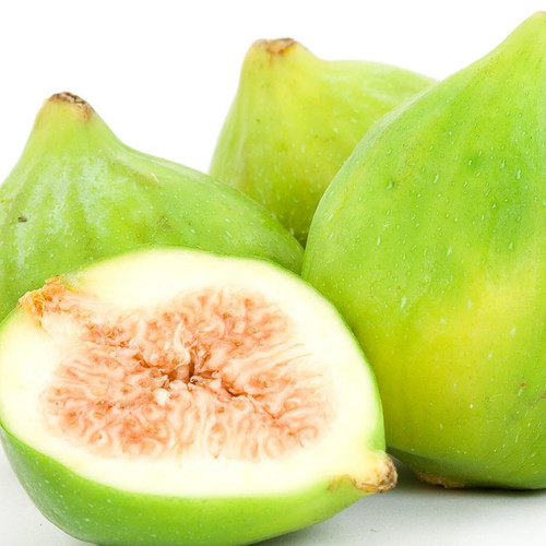Sierra Fig