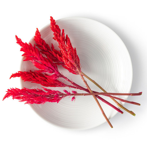 Micro Green Fire Stix