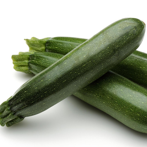 Baby Green Zucchini Squash Baby Green Zucchini Squash
