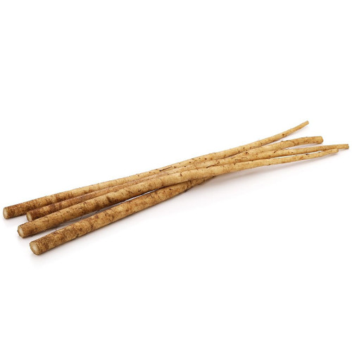 Gobo Root