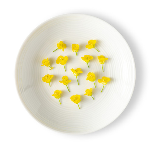 Edible Mustard Flower