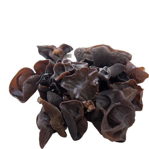 Black Fungus Mushroom
