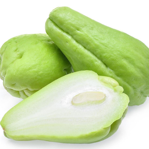 Chayote Squash