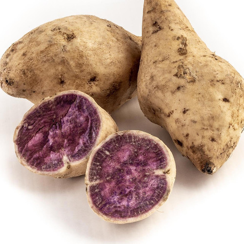 Okinawan Sweet Potato