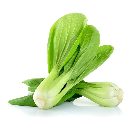 Green Baby Bok Choy