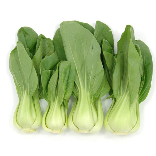 Shanghai Baby Bok Choy