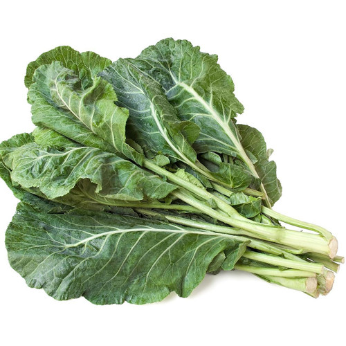 Collard Green Bunch Collard Green Bunch