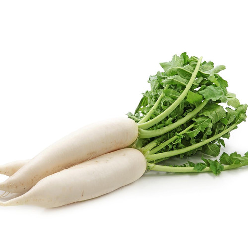 DAI20# | Daikon Radish Topless (20#) - Pacific Coast Fresh Co.