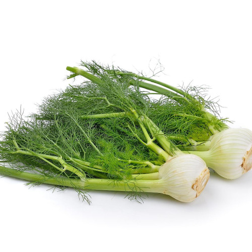 Organic Fennel