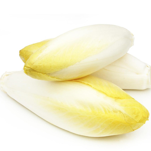 Belgian Endive