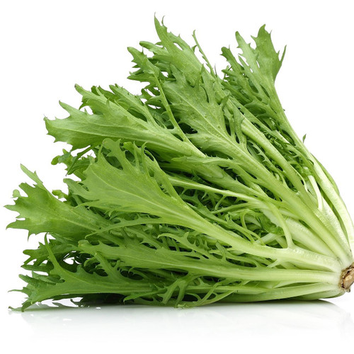 Escarole Escarole