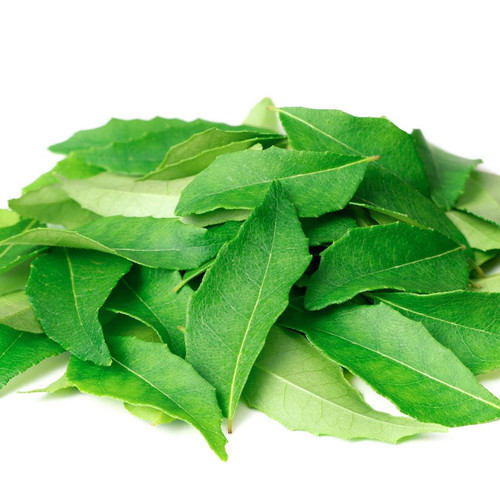 Curry Leaf Herb