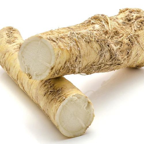 Horseradish Root Horseradish Root