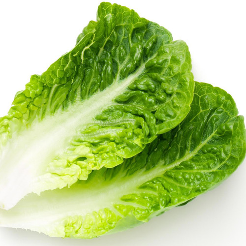 MannAs Simply Singles Romaine Lettuce Crowns
