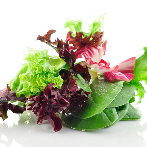 Organic Spring Mix