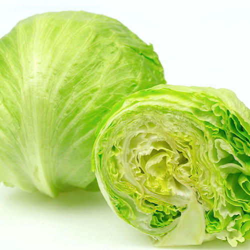 Organic Iceberg Lettuce