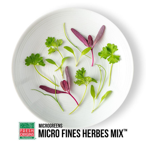Micro Green Fines Herbes Mix