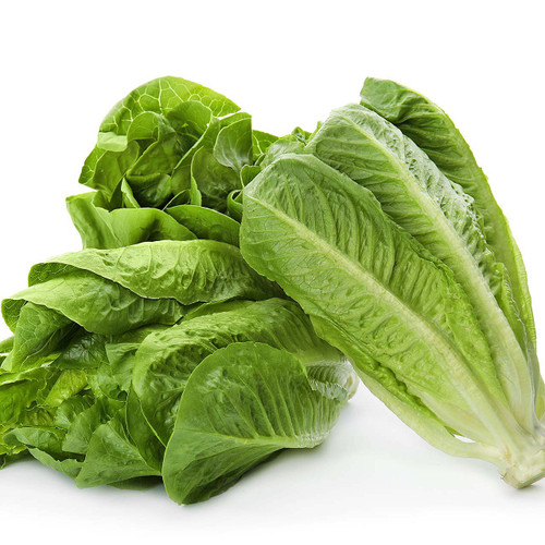 Petite Romaine Lettuce Hearts