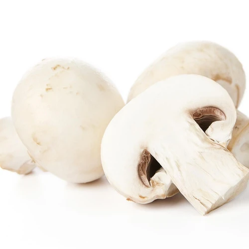 Mature Mushroom