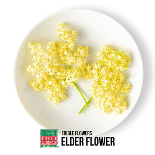 Edible Elder Flower