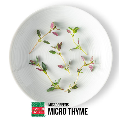 Micro Thyme