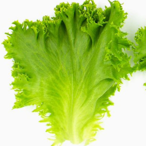 Better Burger Leaf