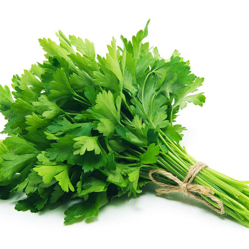 Organic Italian Parsley