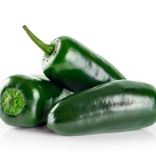 PEPGRE01B | XL Green Pepper (1-1/9 BSHL) - Pacific Coast Fresh Co.