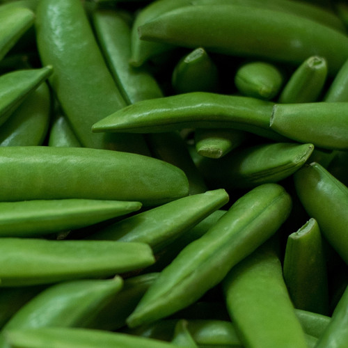 Stringless Sugar Snap Pea