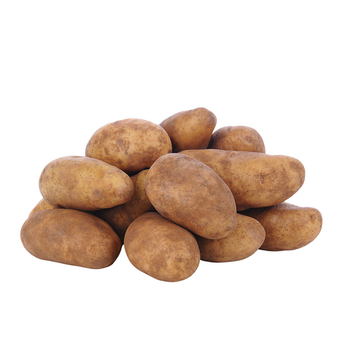 Northwest Russet Potato