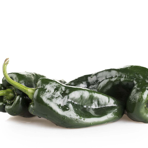 Pasilla Pepper Pasilla Pepper