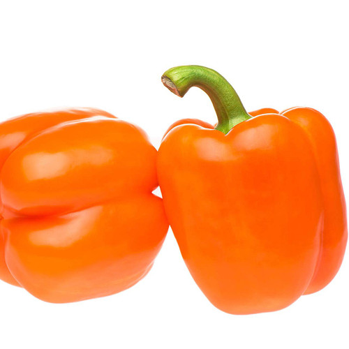 XL Orange Bell Pepper