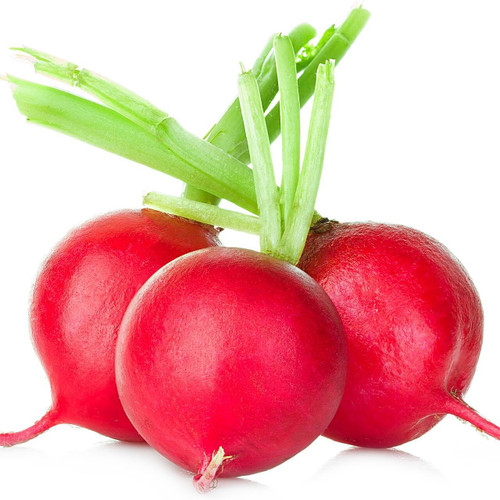 Radish Topped