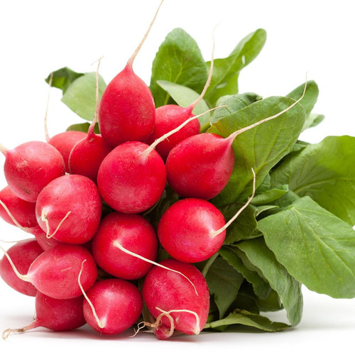 Radish Bunch Radish Bunch