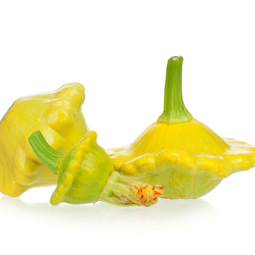Baby Patty Pan Yellow Squash