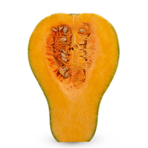 Organic Honeynut Squash Organic Honeynut Squash