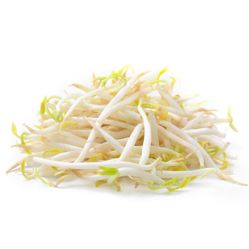 Organic Mung Bean Sprout