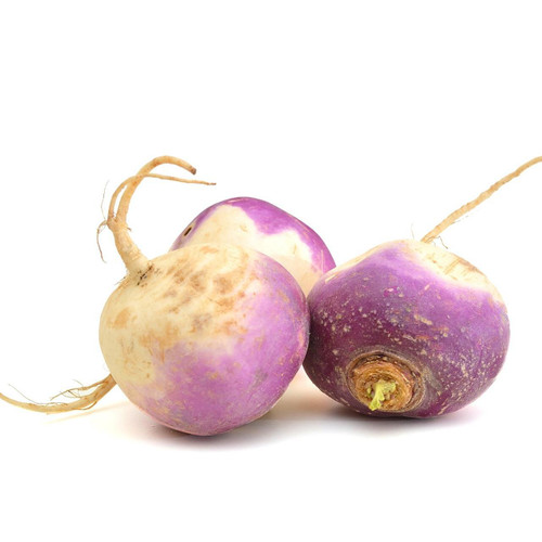 Turnip Turnip