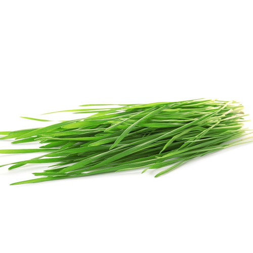 Organic Wheatgrass