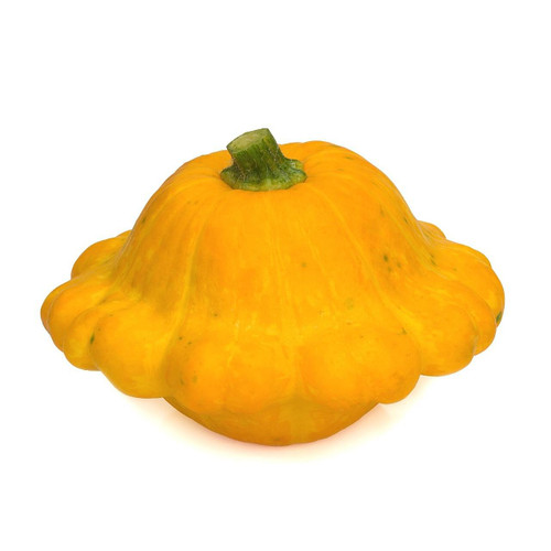 Organic Patty Pan Squash