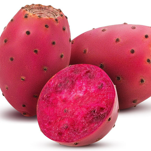Red Cactus Prickly Pear