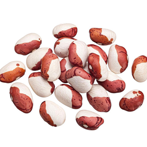 Anasazi Beans