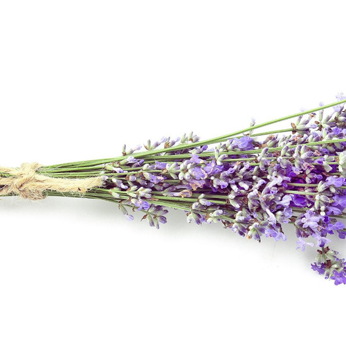 Lavender Flowers